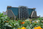 تعامل علمی میان مرکز منطقه ای اطلاع رسانی علوم وفناوری و دانشگاه علوم پزشکی شیراز